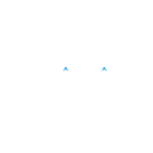 Broil King logo